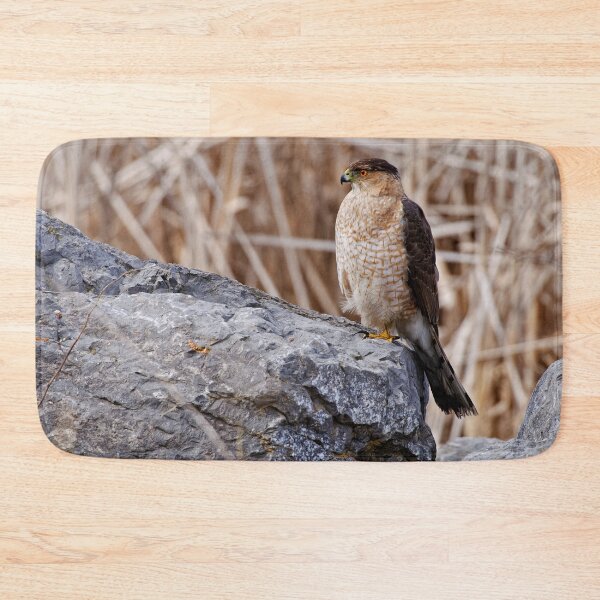 Item preview, Coopers Hawk designed and sold by Michael Cummings.