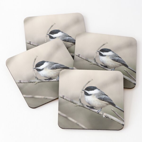 Item preview, Black-capped Chickadee (Poecile atricapillus) designed and sold by rodmacpherson.