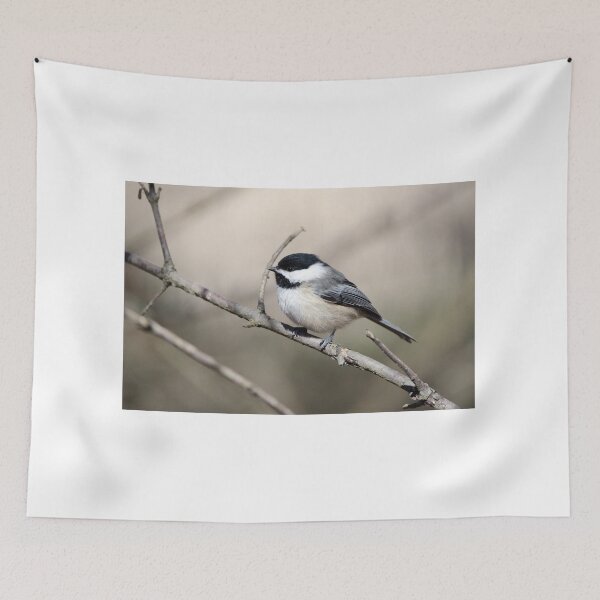 Item preview, Black-capped Chickadee (Poecile atricapillus) designed and sold by rodmacpherson.