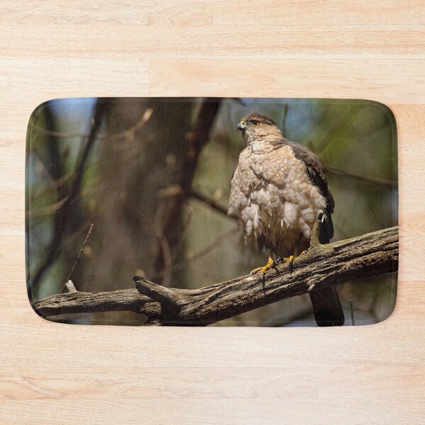 Item preview, Coopers Hawk designed and sold by Michael Cummings.