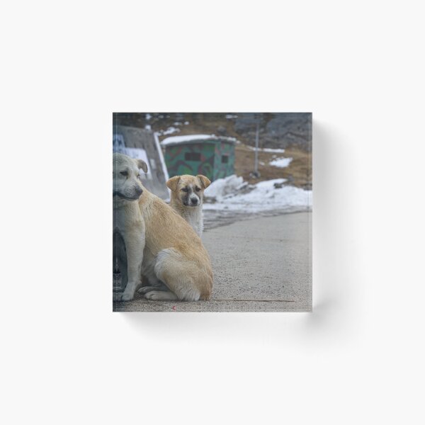 Item preview, Two street dogs -a mother dog and a puppy standing beside the road in front of snowy mountain in Sikkim, India designed and sold by FCEalin.