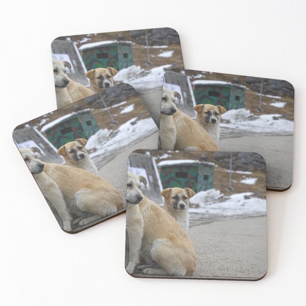 Item preview, Two street dogs -a mother dog and a puppy standing beside the road in front of snowy mountain in Sikkim, India designed and sold by FCEalin.