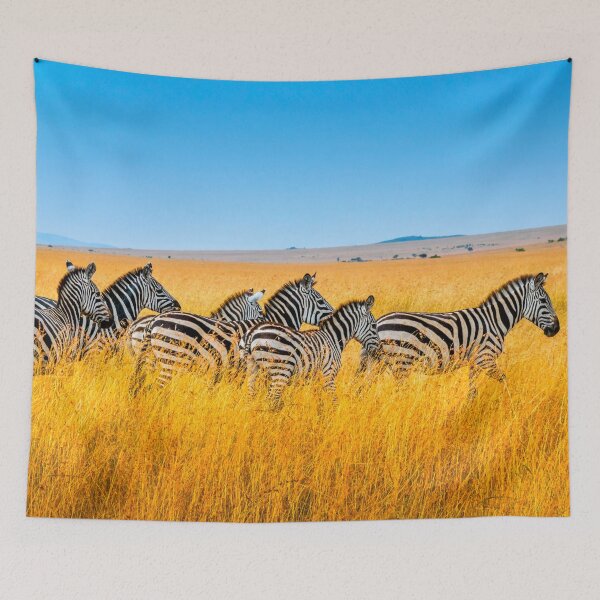 Item preview, Colourful zebra  designed and sold by JD369.