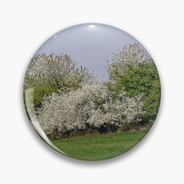 Item preview, Blooming blackthorn designed and sold by NW-Photo-Art.