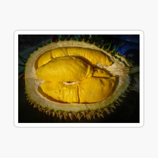 King of Kings, Musang King Durian Sticker