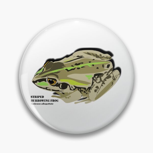 Item preview, Striped Burrowing Frog (Cyclorana alboguttata) designed and sold by WildFroggo.