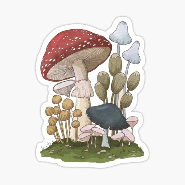 Multicolor Heart Mushroom lover mycologist Fungus gifts idea Mycology Fungi Foraging Mushrooms Whisperer Fungus Throw Pillow 18x18 Multicolor Heart Mushroom lover mycologist Fungus gifts idea Mycology Fungi Foraging Mushrooms Whisperer Fungus Throw Pillow 18x18