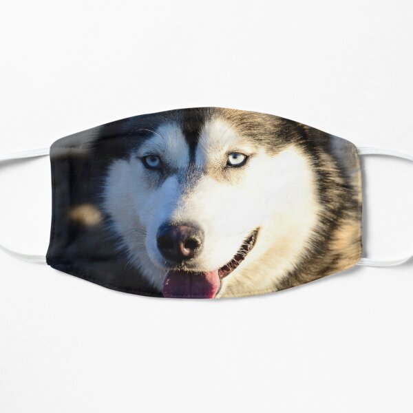 Husky Flat Mask
