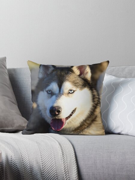 Husky Throw Pillow