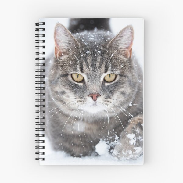 Item preview, Striped female cat walks though the snow  designed and sold by C-B-Stuedal.