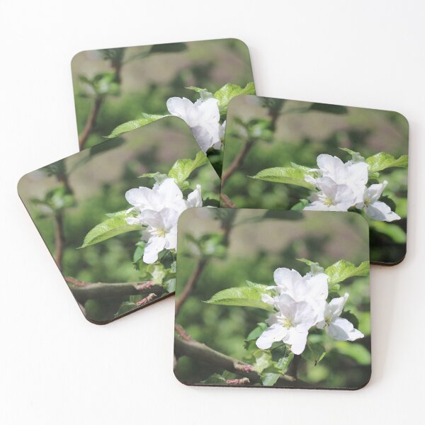 Item preview, White apple blossoms designed and sold by wineandwords.
