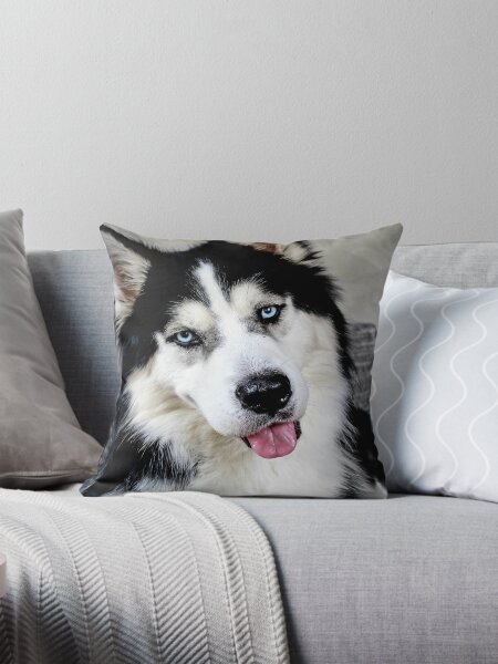Husky on sofa Throw Pillow