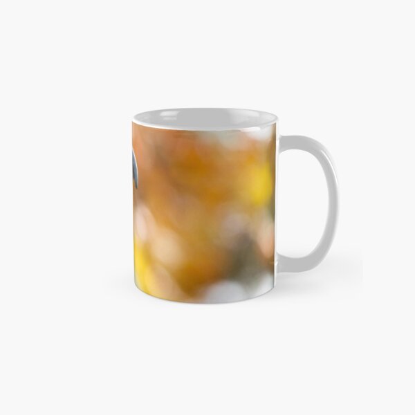 Bailey the Red-tailed Hawk Classic Mug