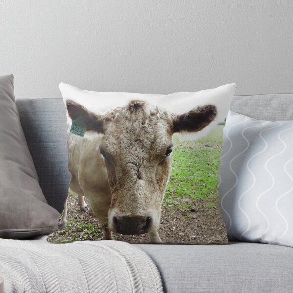 Item preview, Murray Grey Cow - Camera conscious & Lovely Eyes     designed and sold by EdsMum.