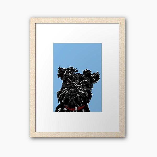 Dennis the black Miniature Schnauzer dog Framed Art Print
