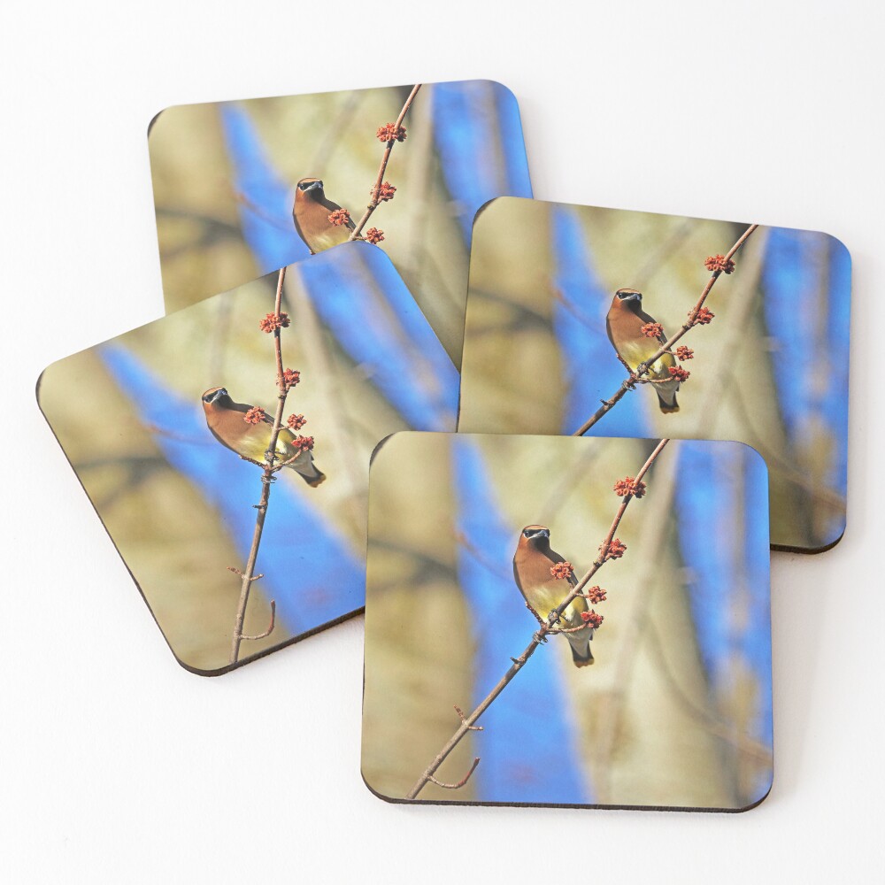 Item preview, Coasters (Set of 4) designed and sold by debop1.