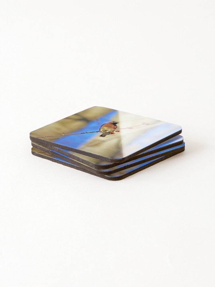 Thumbnail 4 of 5, Coasters (Set of 4), Cedar Waxwing In Spring Maple Tree designed and sold by debop1.