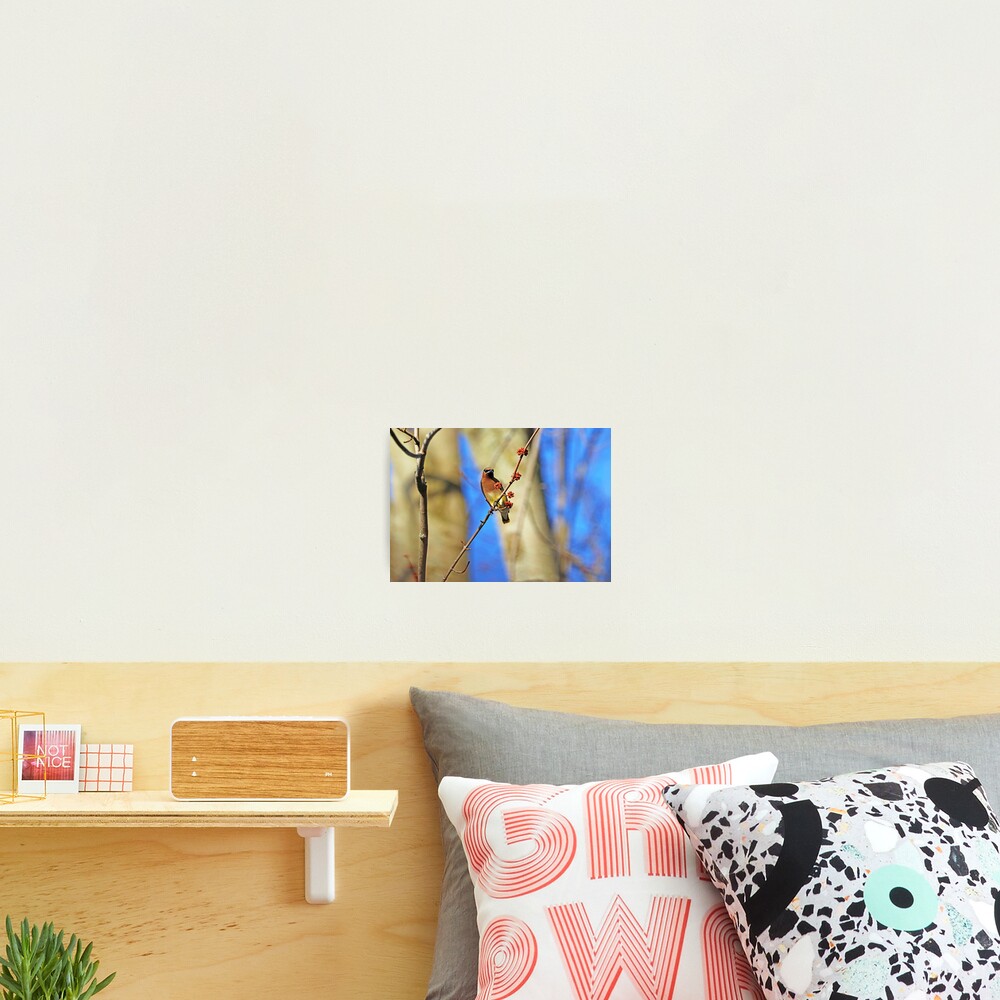 Item preview, Photographic Print designed and sold by debop1.