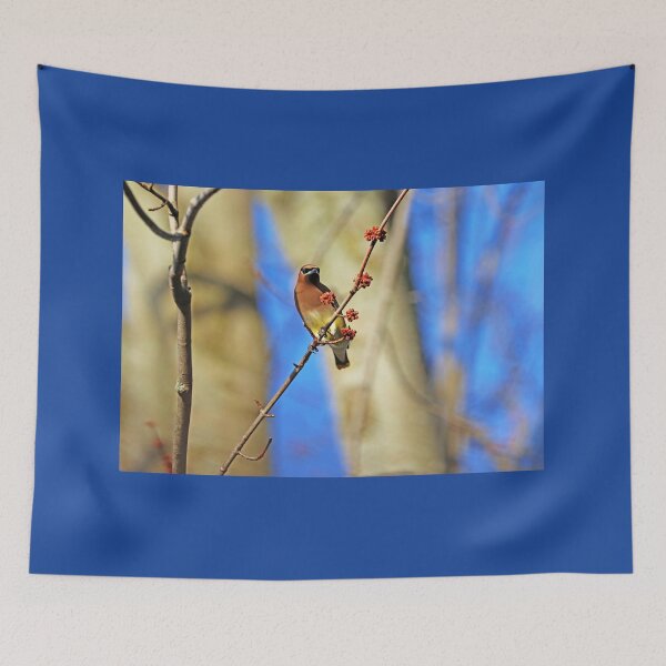Item preview, Cedar Waxwing In Spring Maple Tree designed and sold by Deb Oppermann.