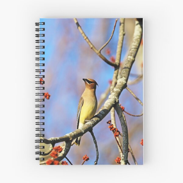 Item preview, Regal Cedar Waxwing designed and sold by Deb Oppermann.