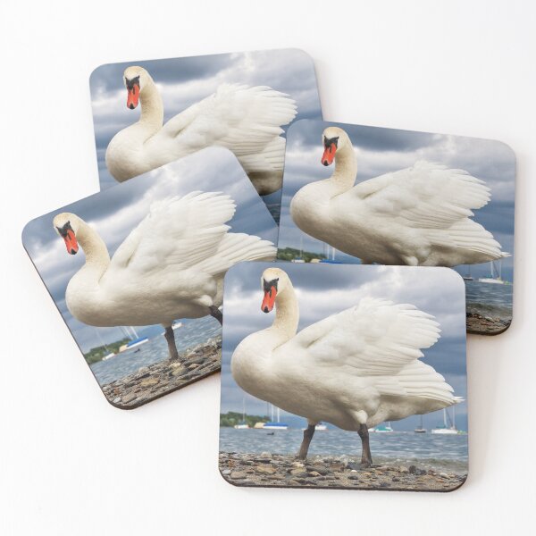 Item preview, Swan in Hagnau - Lake Constance, Germany designed and sold by holgermader.
