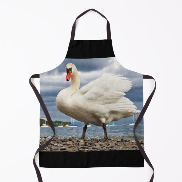 Item preview, Swan in Hagnau - Lake Constance, Germany designed and sold by holgermader.