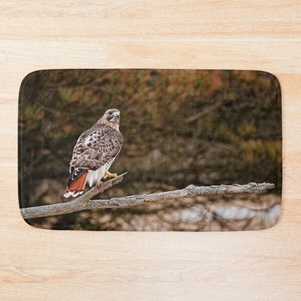 Item preview, Red-Tailed Hawk designed and sold by Michael Cummings.
