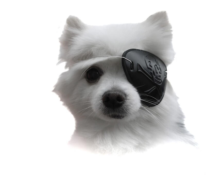 "Gabe the Dog Eyepatch" Travel Mugs by kryptolith Redbubble