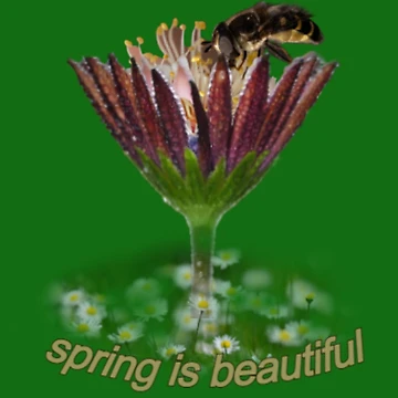 Artwork thumbnail, Spring by EVRENSEL