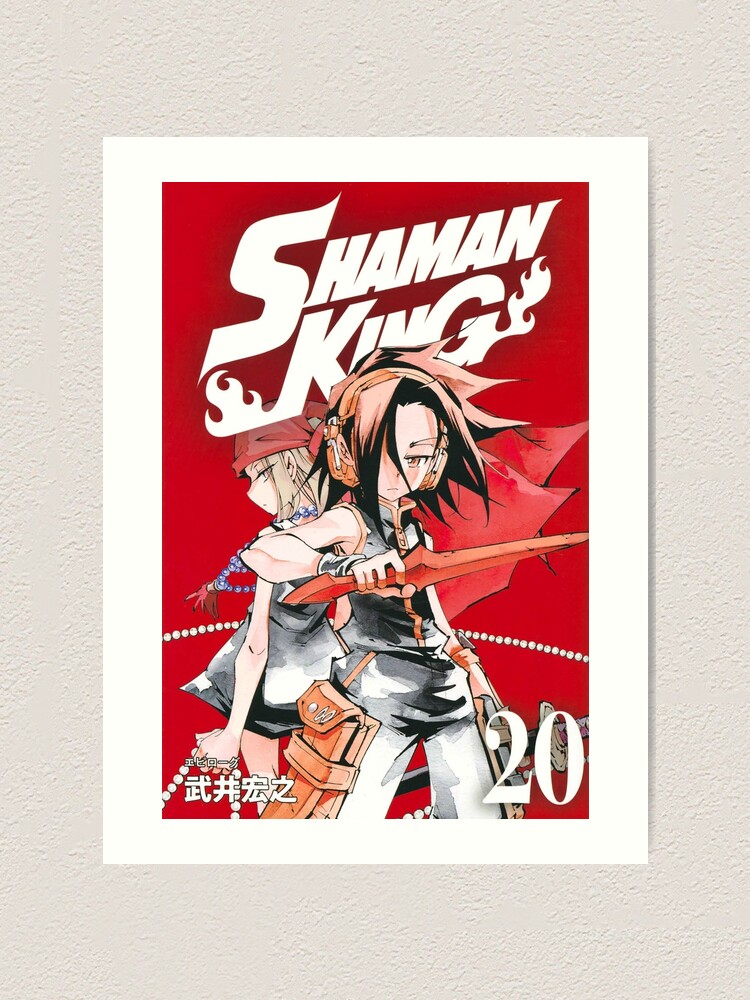 Cover#20  Shaman king, Shaman, King art