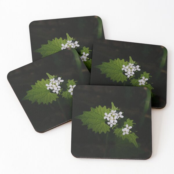 Item preview, Garlic mustard designed and sold by NW-Photo-Art.