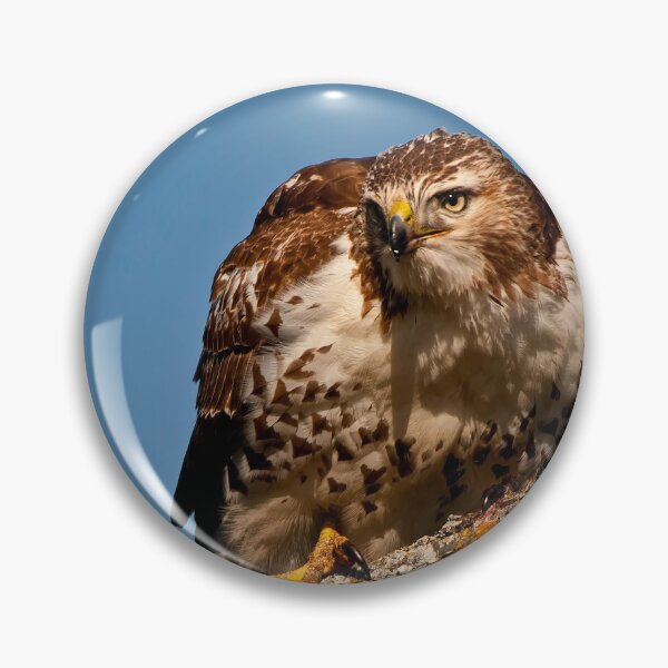Item preview, Red-Tailed Hawk designed and sold by Michael Cummings.