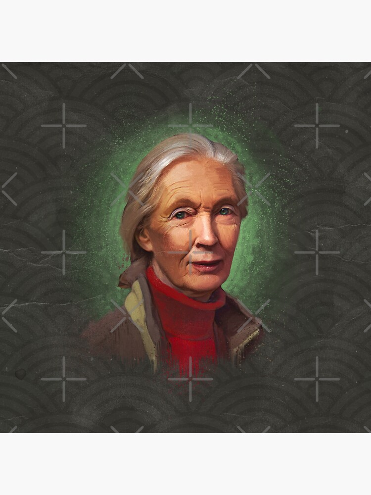 JANE GOODALL  by Chrisjeffries24