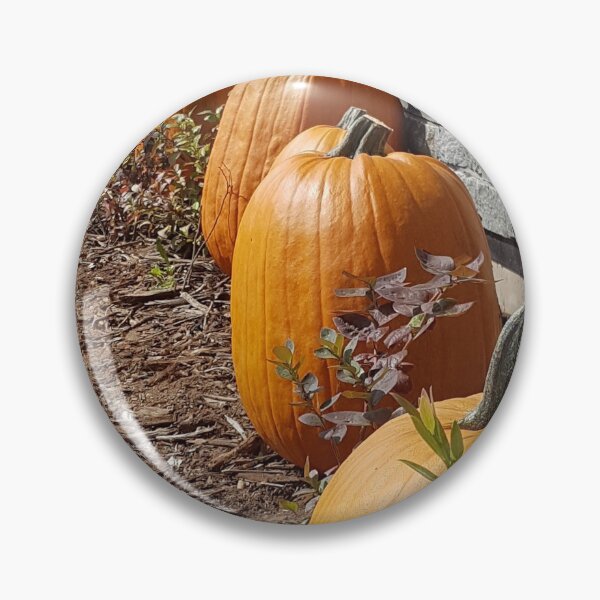 Item preview, Hello Pumpkin designed and sold by Mandie Ward Photography & Designs.