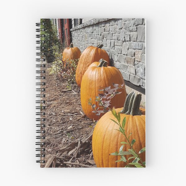 Item preview, Hello Pumpkin designed and sold by Mandie Ward Photography & Designs.