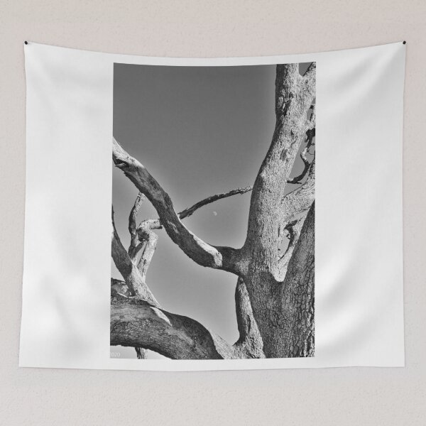 Item preview, Isla Jekyll Madera Flotante Y La Luna Blanco Y Negro Vertical designed and sold by LisaWootenPhoto.