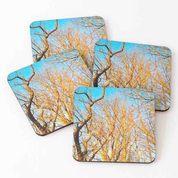Item preview, Bare winter trees twisting and bending against the background of the blue cloudless sky  designed and sold by helenkaiy.
