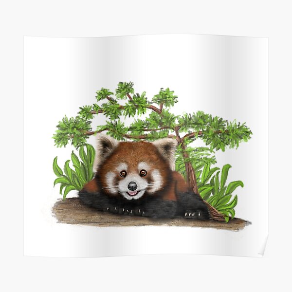 Cute Cartoon Red Panda Digital Painting Poster For Sale By Wasootch