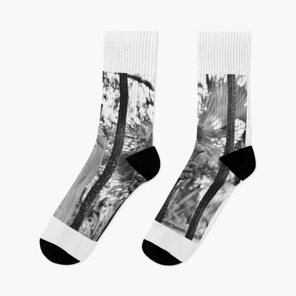 Item preview, Puerta del cementerio de DuBignon Jekyll Island Georgia en blanco y negro designed and sold by LisaWootenPhoto.