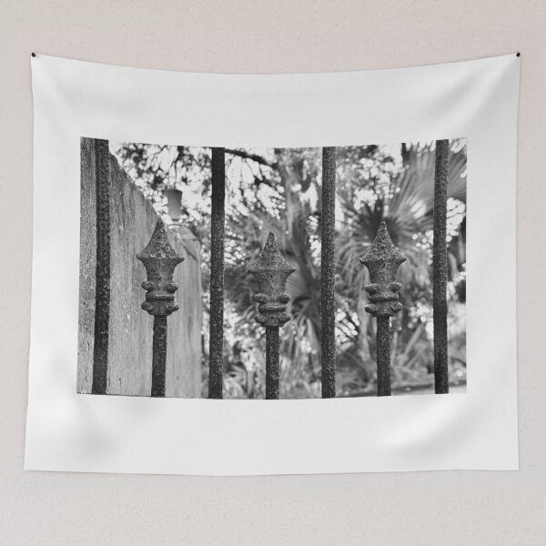 Item preview, Puerta del cementerio de DuBignon Jekyll Island Georgia en blanco y negro designed and sold by LisaWootenPhoto.