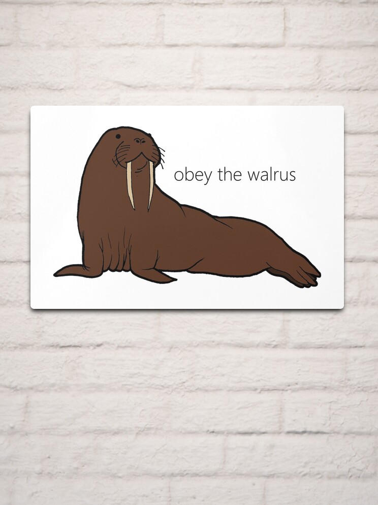 Obedece a la Morsa / Obey The Walrus