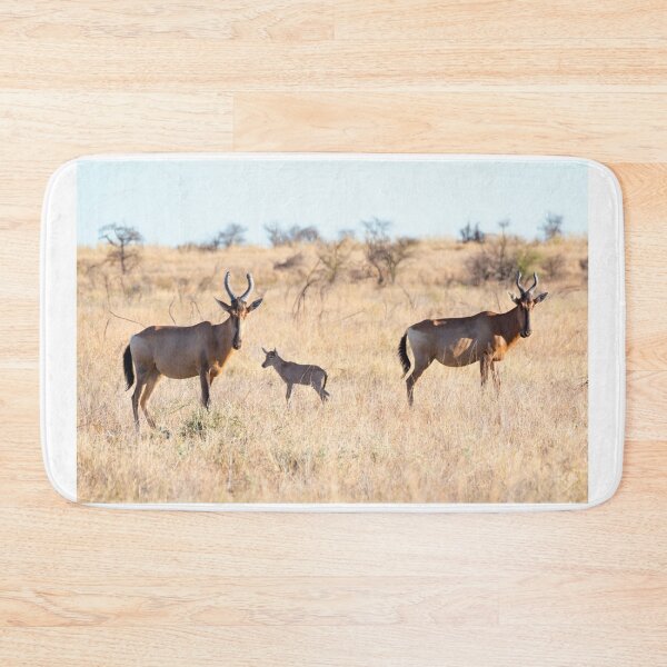 Item preview, Hartebeest Family - Kruger National Park designed and sold by holgermader.