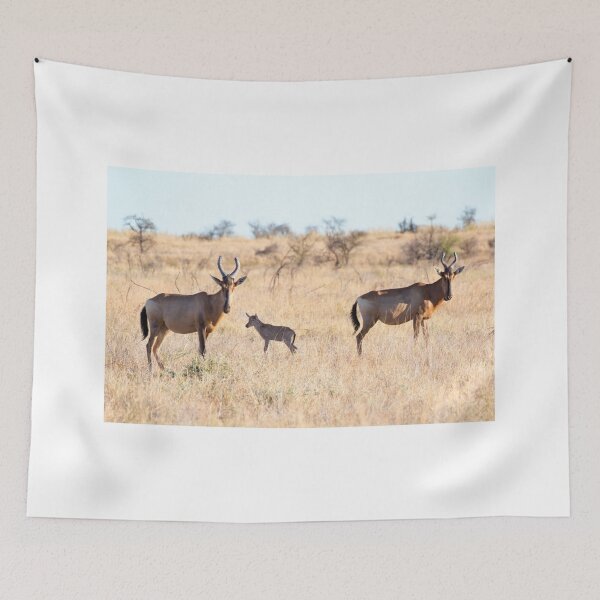 Item preview, Hartebeest Family - Kruger National Park designed and sold by holgermader.