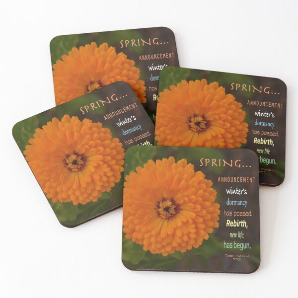 Item preview, Spring Announcement designed and sold by Tdcc2000.