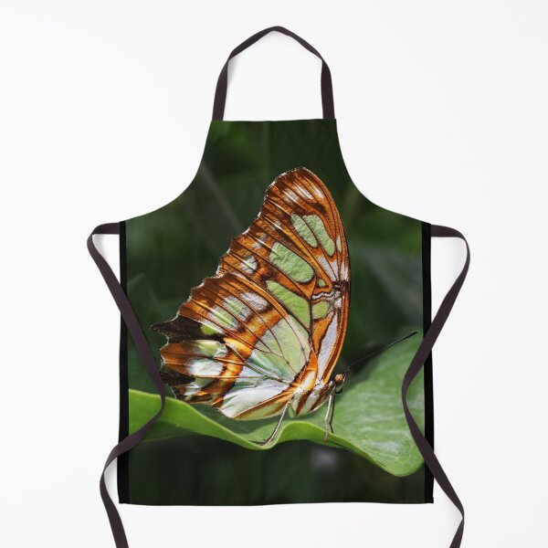Item preview, Malachite (Siproeta stelenes) - Malachit-Falter designed and sold by holgermader.