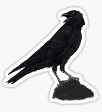 Nights Crow Sticker