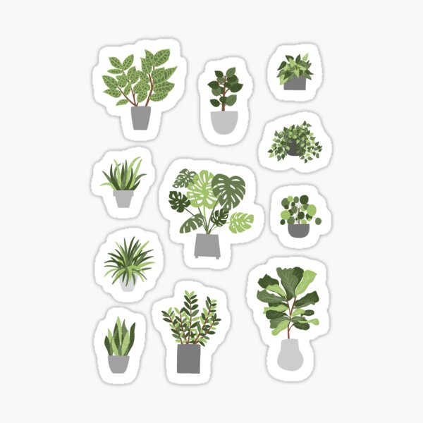 plant sticker pack sticker by meganorussa redbubble