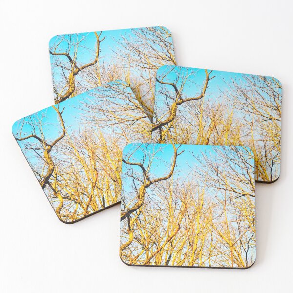 Item preview, Bare winter trees twisting and bending against the background of the blue cloudless sky  designed and sold by helenkaiy.