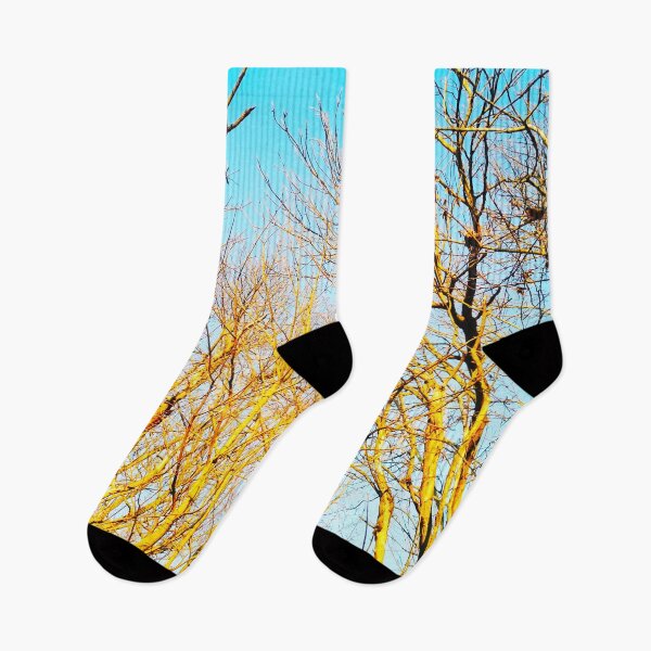 Item preview, Bare winter trees twisting and bending against the background of the blue cloudless sky  designed and sold by helenkaiy.