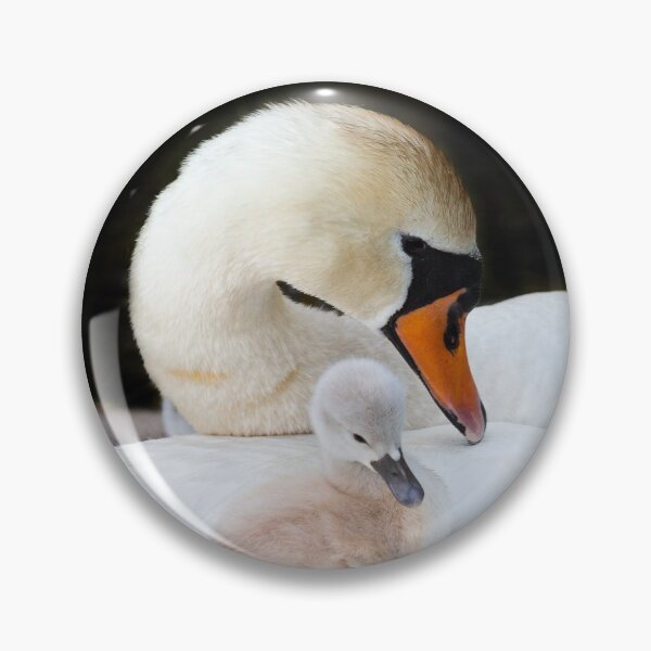 Item preview, Swan and Cygnet designed and sold by swissflake.